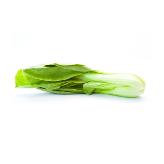 Vegetarian
